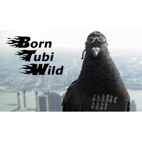 Born Tubi Wild (PC) klíč Steam Born Tubi Wild (PC) klíč Steam