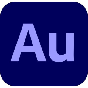 Audition for teams MP ML Government 1 User, 12 Months, Level 1, 1 - 9 Lic