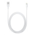 APPLE USB kabel s konektorem Lightning (2m) (bulk)