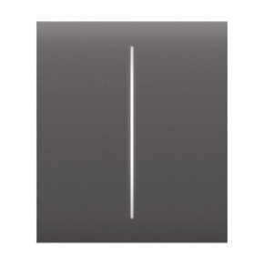 Ajax CenterButton (2-gang) - Středové dvou tlačítko, šedá Ajax CenterButton (2-gang) - Středové dvou tlačítko, šedá